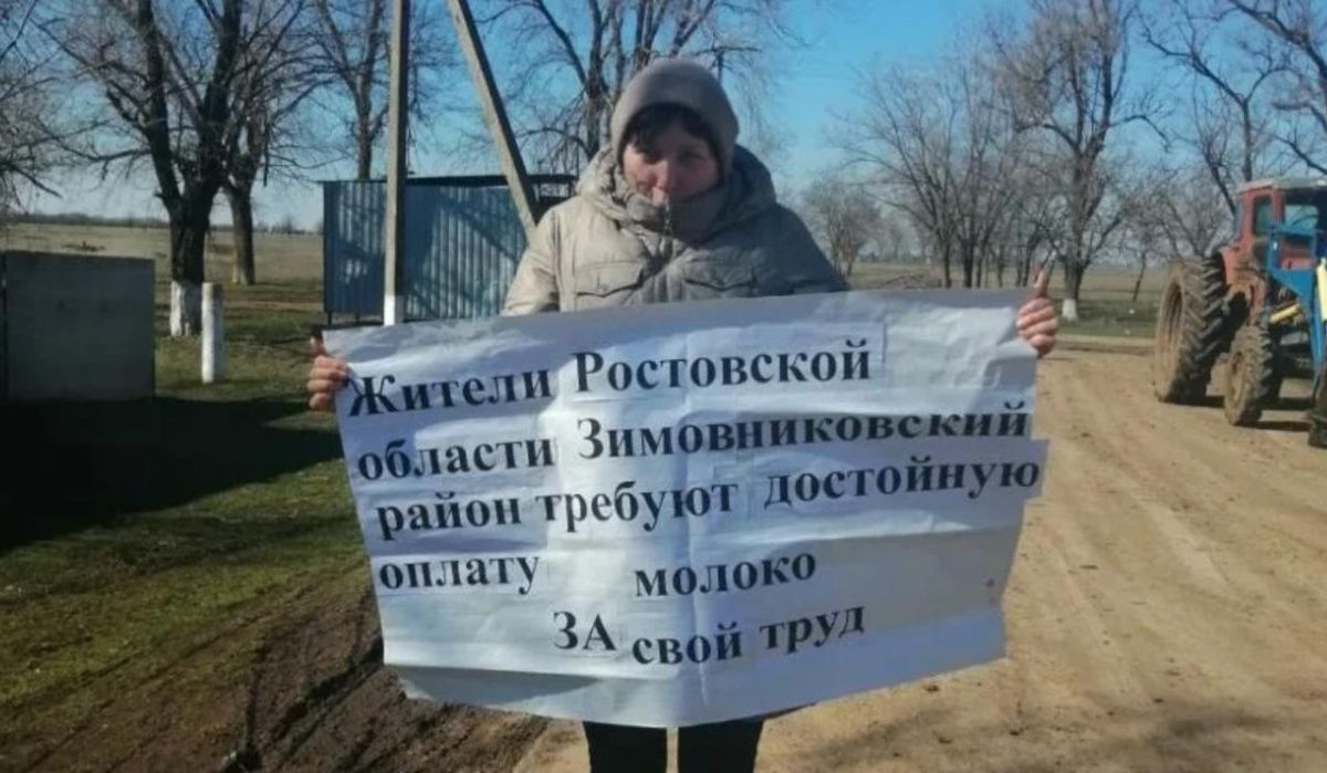 В Ростовской области фермеры протестуют из-за «молочного кризиса» 