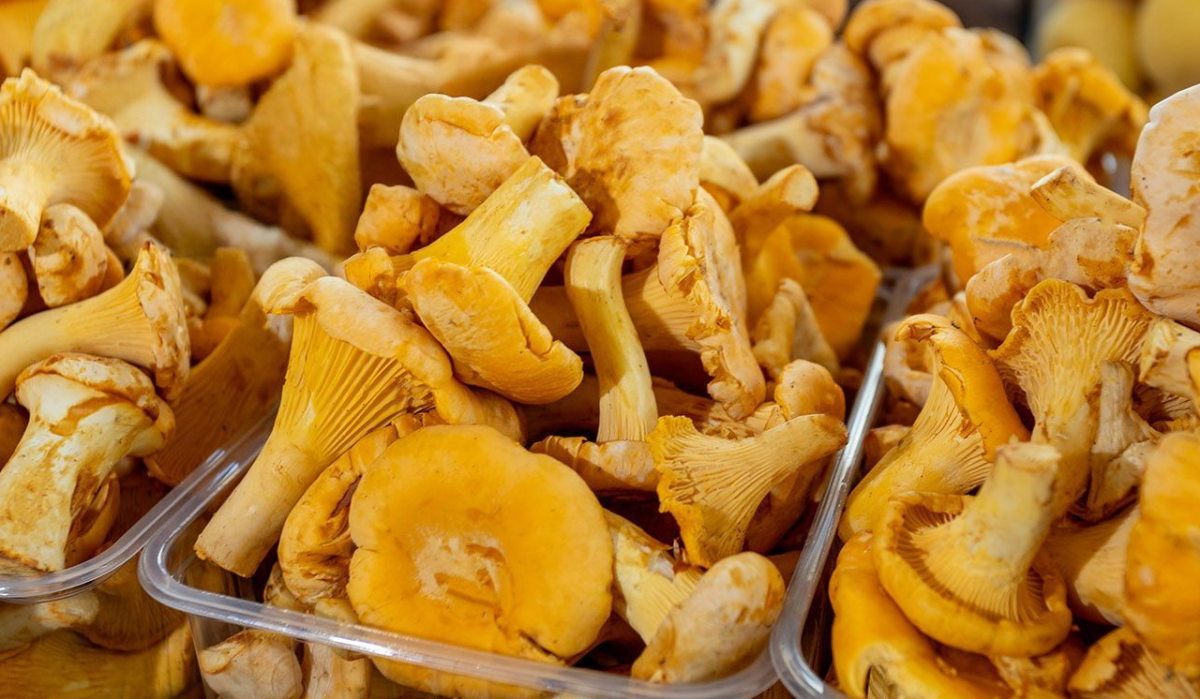 На ярмарках выходного дня бьют рекорды продаж лисички