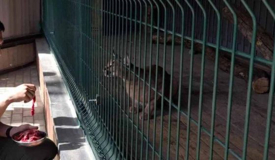 В Самарском зоопарке появился новый краснокнижный житель