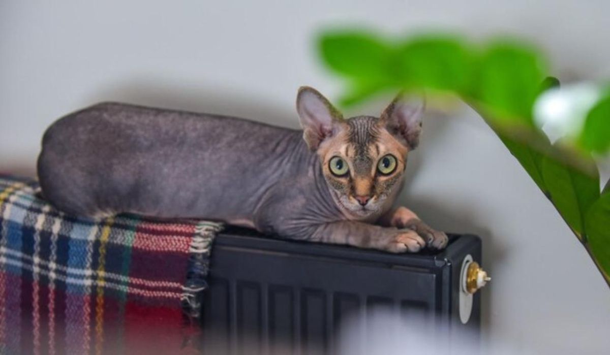 Завершение отопительного сезона в Екатеринбурге назначено на 12 мая