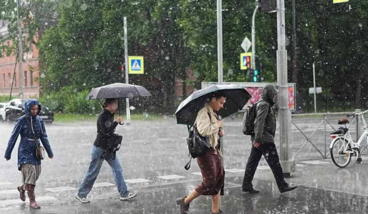 Петербург ожидают кратковременные дожди и местами грозы