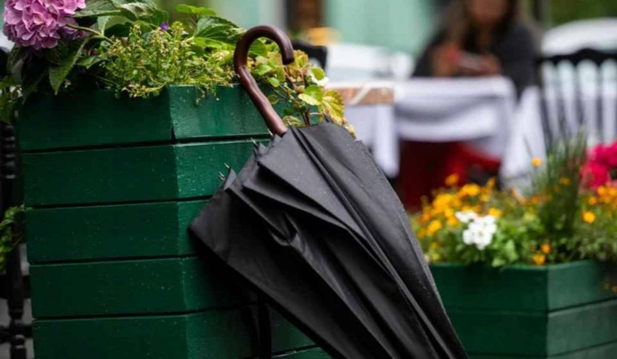 Леус рассказал о погоде в Петербурге 5 августа