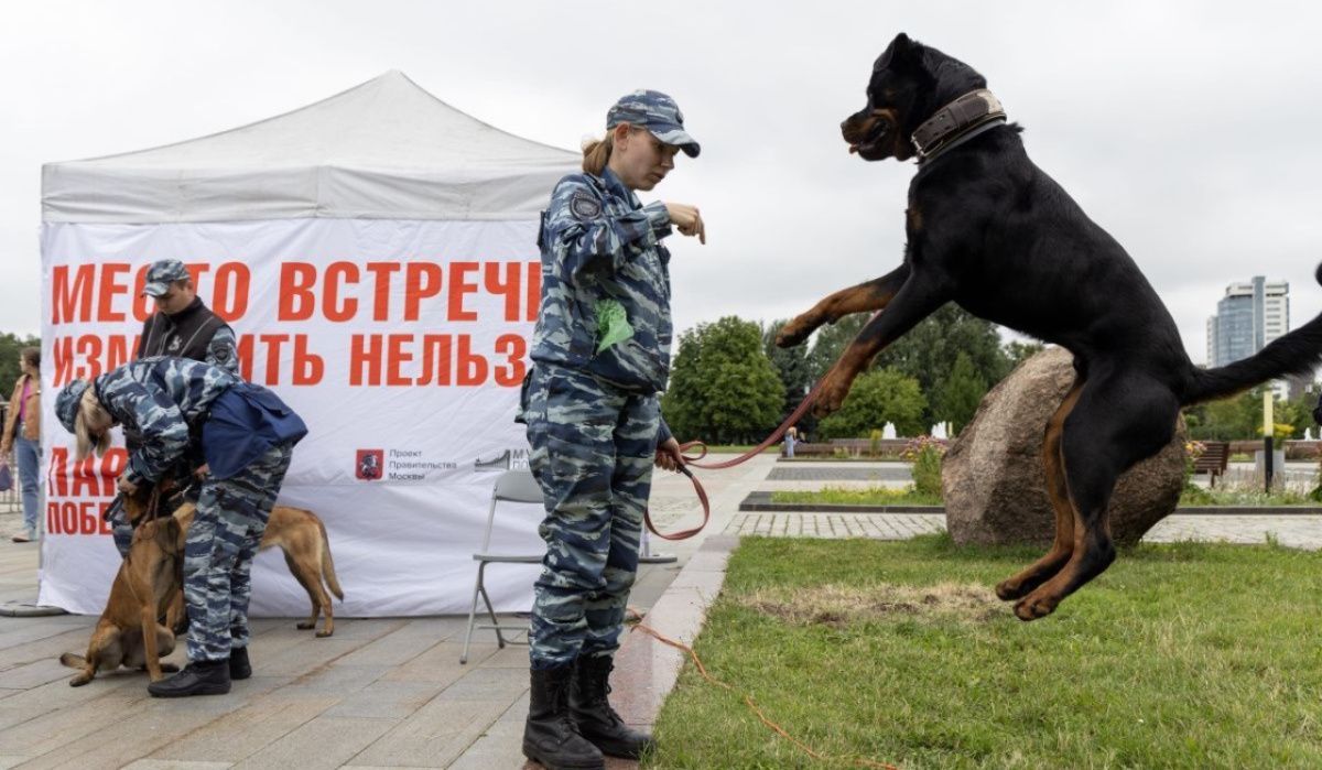 Музей Победы организует мероприятие «Один день с полицией России» в парке