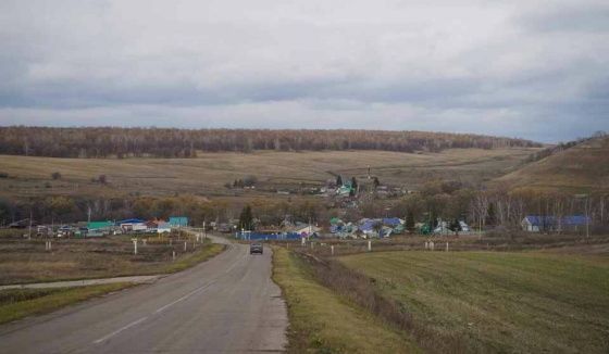 В одном из сел Самарской области введён карантин из-за лейкоза скота