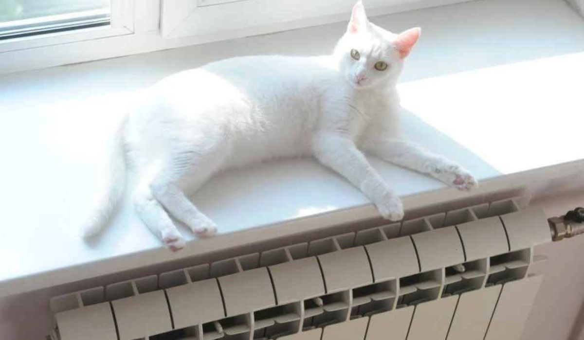 Названа дата завершения отопительного сезона в Ленинградской области