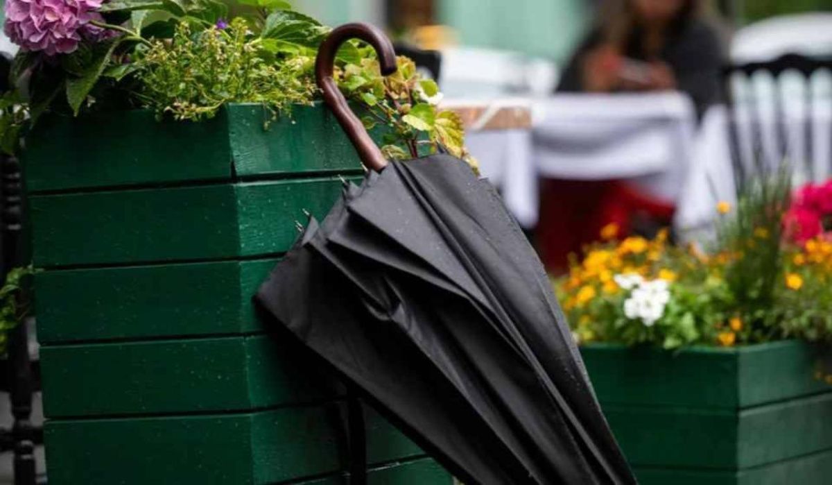 Леус рассказал о надвигающихся на Петербург ливнях