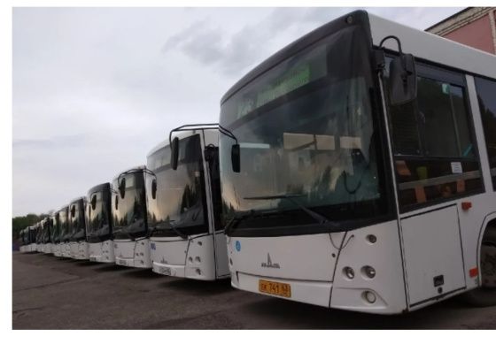 В Самаре популярный автобусный маршрут может стать льготным