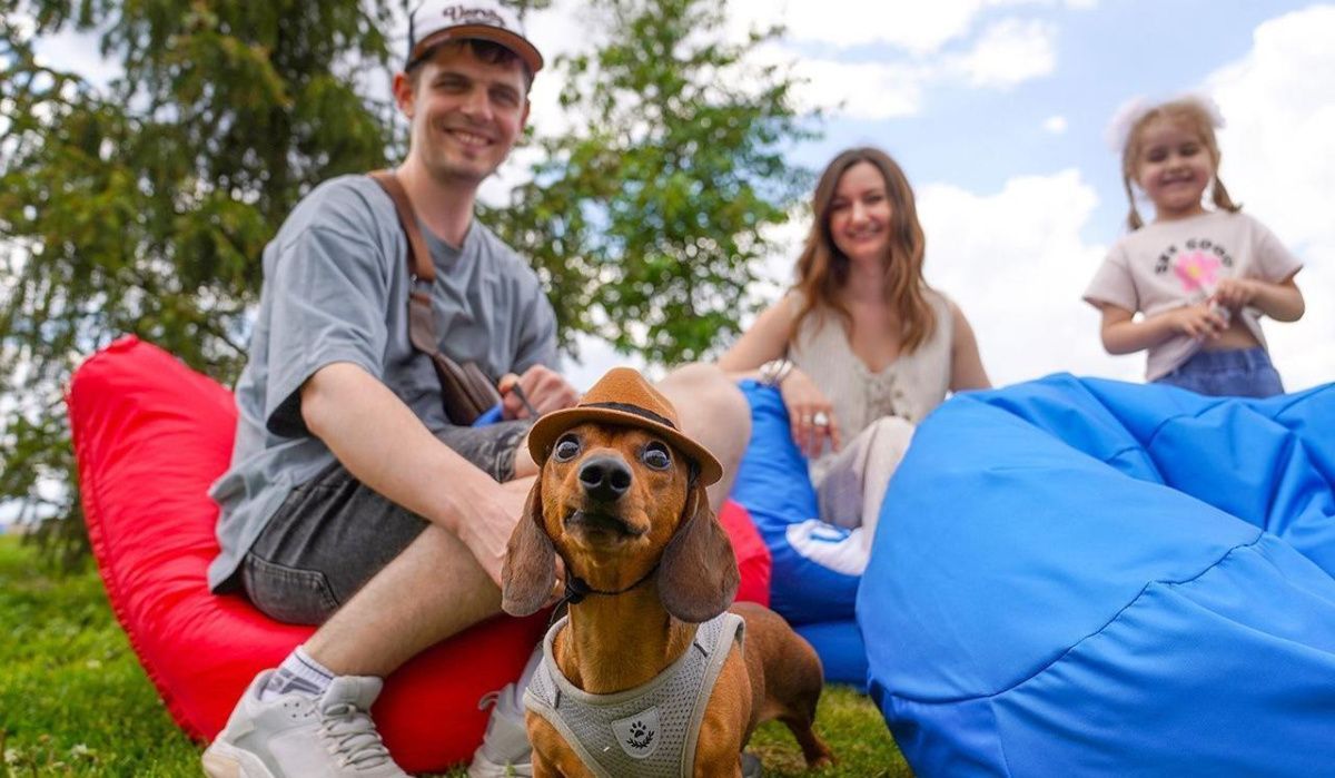 Фестиваль «Защити своего питомца» состоится в столице