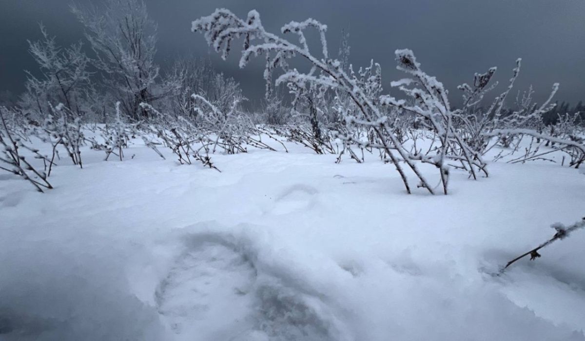 Снегопад и сильный ветер ожидаются в Самарской области 13 и 14 декабря