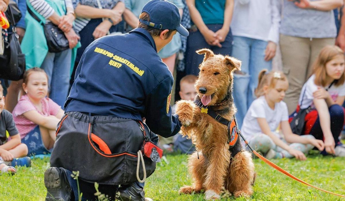 Показательные выступления служебных собак пройдут в Конькове и Южном Бутове
