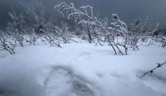 Снегопад и сильный ветер ожидаются в Самарской области 13 и 14 декабря