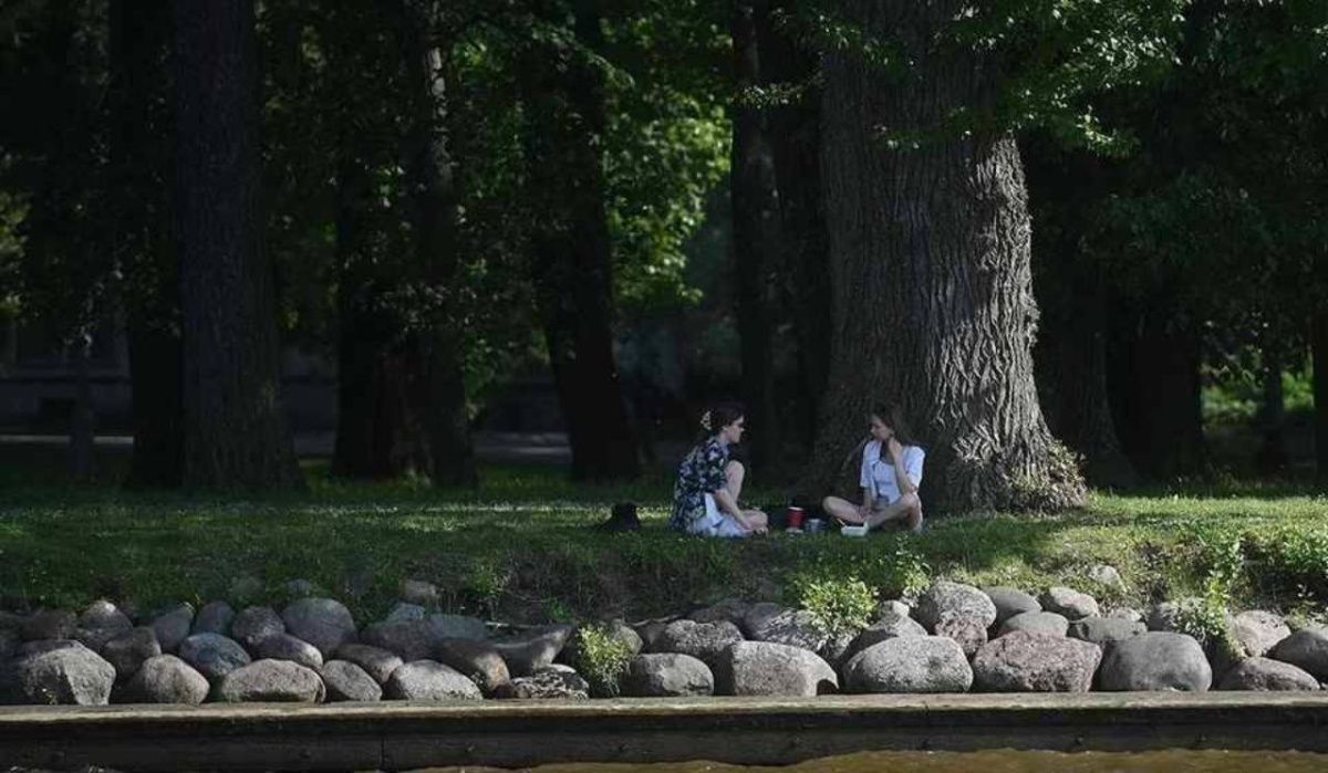 Колесов назвал сроки наступления настоящего лета в Петербурге