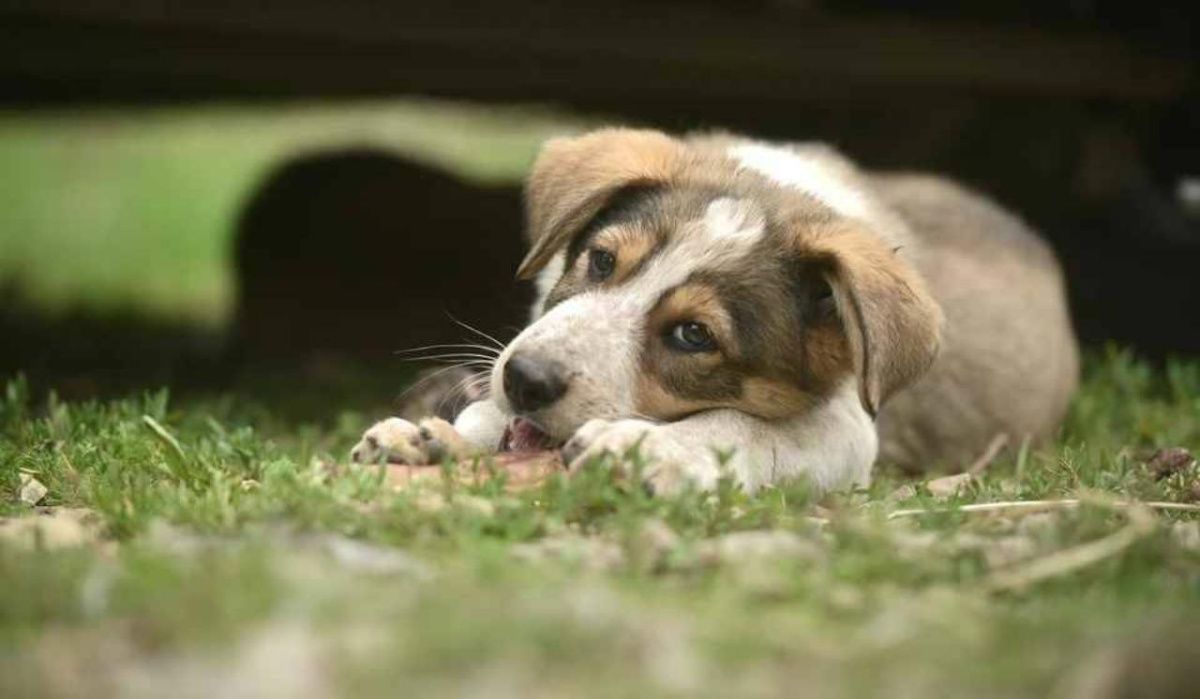 Петербуржцев ждет жаркая и солнечная погода 14 августа