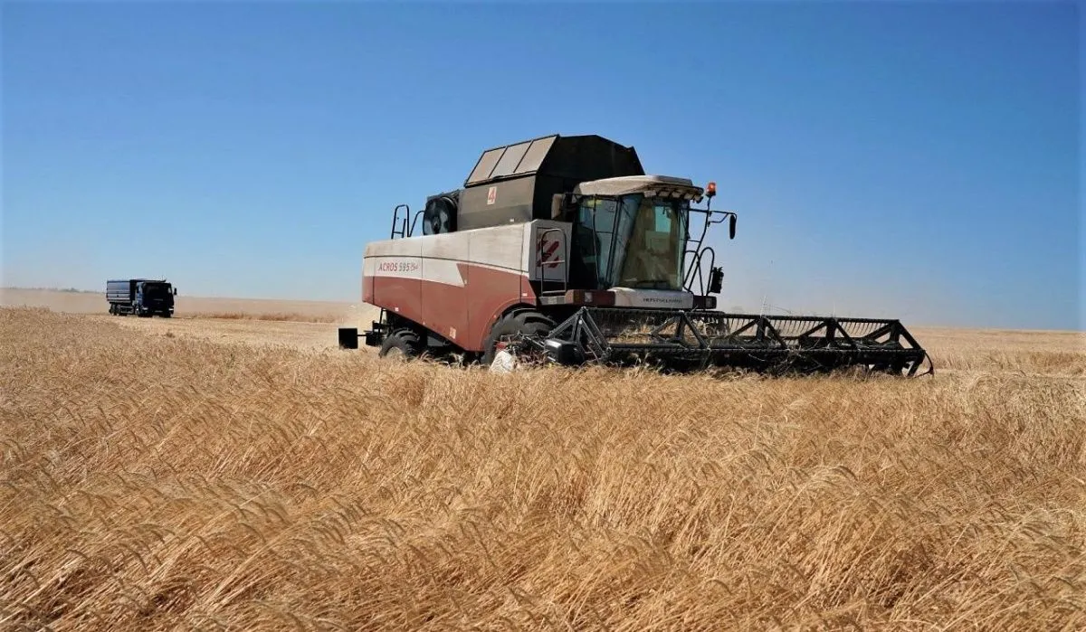 В Самарской области зафиксированы рекордные показатели по сбору урожая 